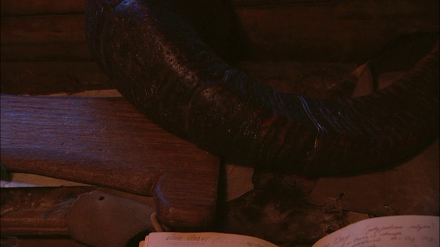 一块骨头和一个火药角旁边放着一本有树叶样本的日记。视频素材