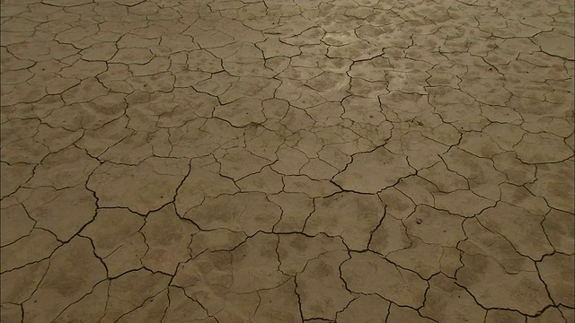 干裂的泥是平坦湖床的特征。视频下载