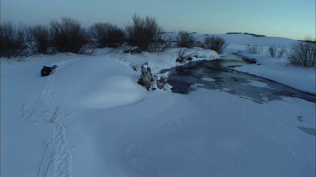 一名事故受害者在一条小溪附近的雪道上爬行。视频下载