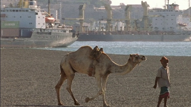 一名中东男子在沙漠中牵着骆驼，船只在也门的亚丁港口经过视频下载