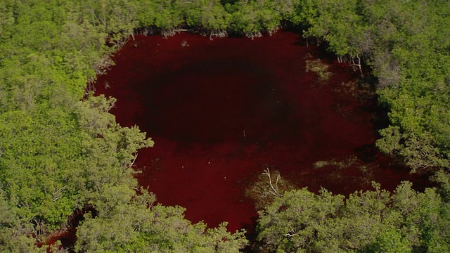 红色的水填满了密林中的天坑。视频下载