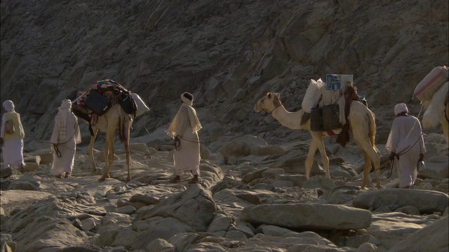 当商队经过沙漠岩层时，骆驼驮着补给。视频素材