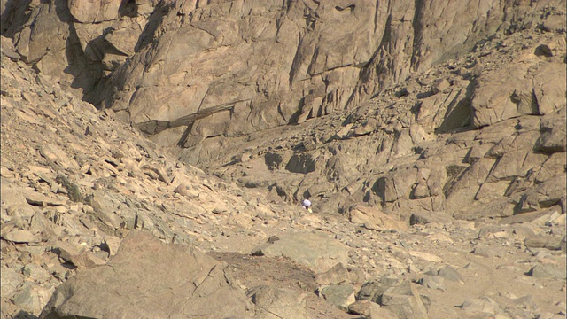 一支由男人和骆驼组成的商队经过崎岖的沙漠山脉和岩层。视频素材