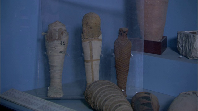 博物馆陈列着小型的埃及木乃伊。视频下载
