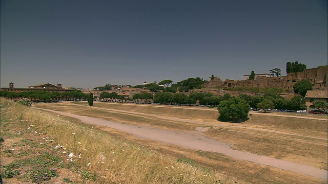 一排排的树木环绕着罗马古老的竞技场。视频下载