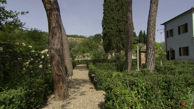 棕榈树和其他郁郁葱葱的景观毗邻意大利佛罗伦萨的波多尼别墅。视频下载