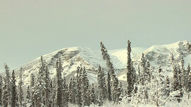 乌云笼罩着白雪覆盖的森林。视频素材
