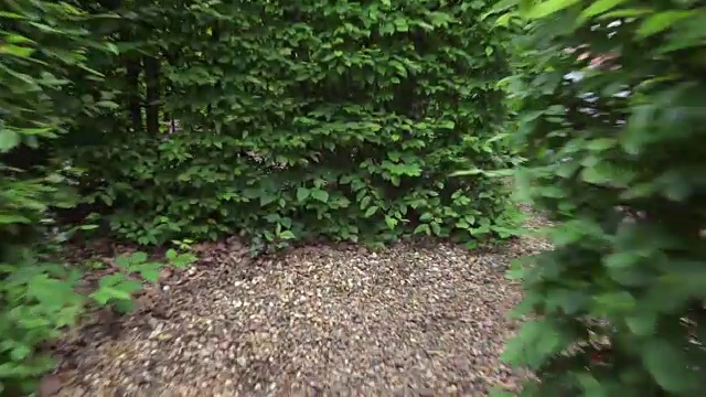 一个小男孩在树篱迷宫中寻路视频素材