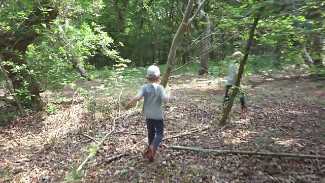 两个小弟弟一起探索森林视频素材