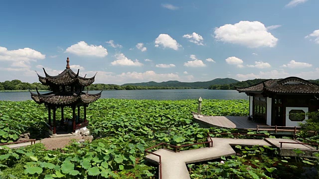 亭和大理石船围绕在荷花田，杭州，中国视频素材