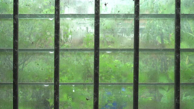 雨滴与窗户视频下载