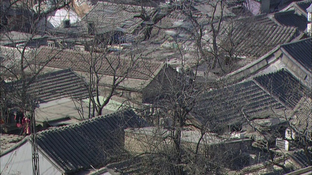 北京郊区的街道两旁都是树木。视频素材