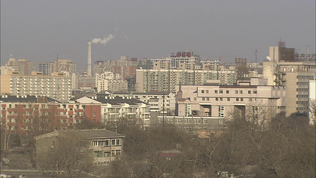 从树梢可以看到北京一个街区的屋顶。视频素材