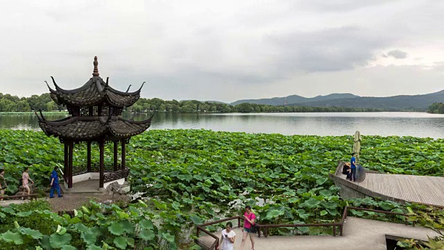 4K延时:中国杭州，西湖荷花环绕的亭子视频素材