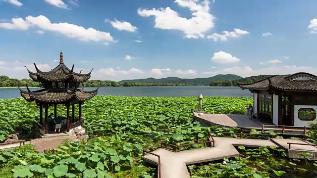 4K延时拍摄:中国杭州，游客在荷花田的码头上漫步，在蓝天白云的亭子下打牌视频素材