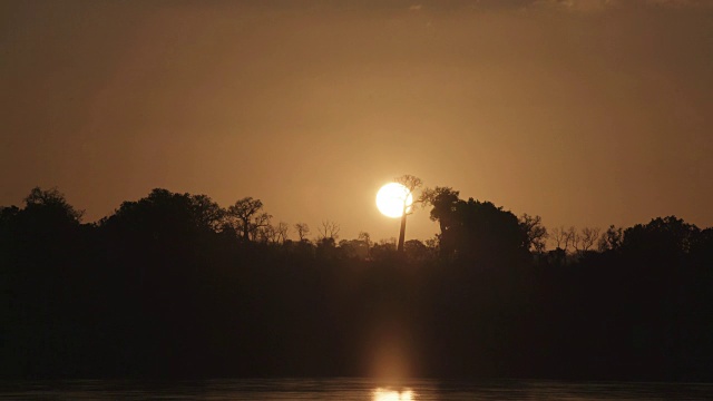 日落在猴面包树线上视频素材