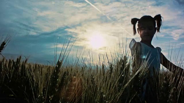小女孩在麦田里迎着太阳，剪影视频素材