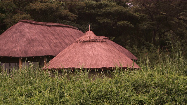 三种结构的草覆盖屋顶视频下载