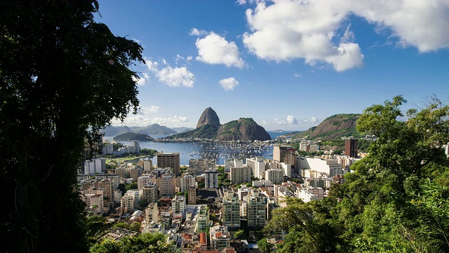 在树间延时拍摄，俯瞰甜面包山的里约热内卢。视频下载