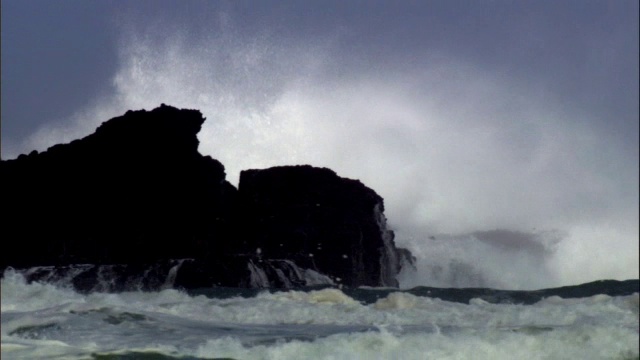 在暴风雨中海浪撞击岩石，新西兰视频素材