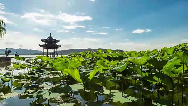 4K延时:中国杭州西湖夏日美景视频素材