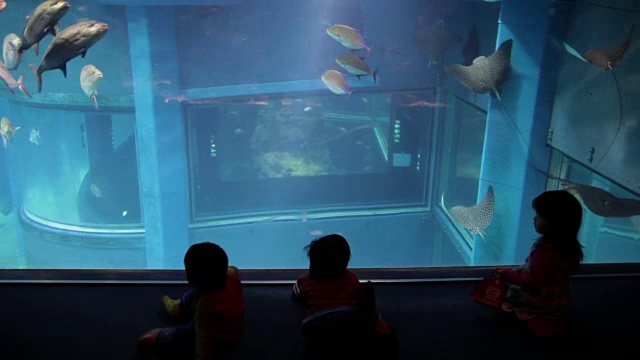孩子们参观水族馆视频素材