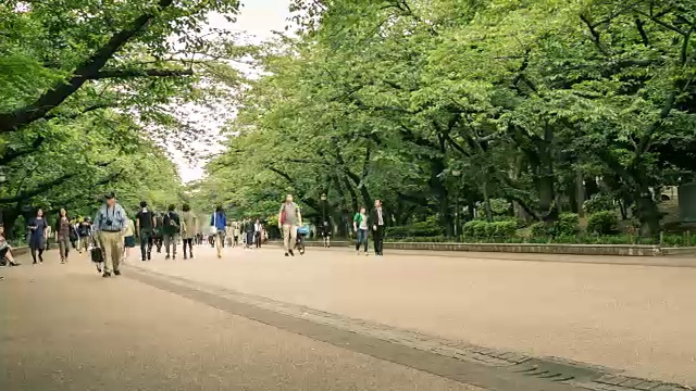 上野公园时光流逝视频下载
