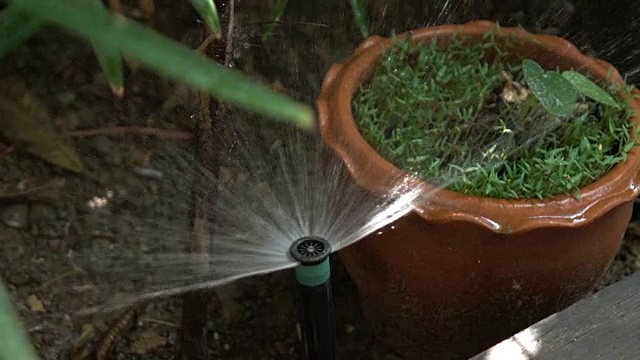 园林灌溉系统浇水树(慢动作拍摄)视频素材
