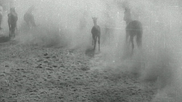 19世纪高角度的马匹在尘土飞扬的平原上奔跑，后面跟着牛仔视频素材