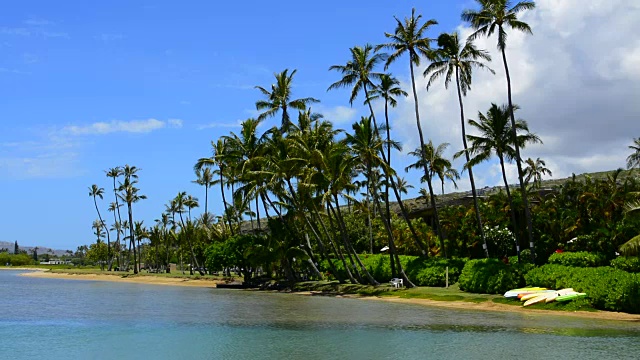 檀夏威夷瓦胡棕榈在毛那鲁阿湾南瓦胡放松的海湾视频素材