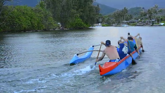 夏威夷瓦胡岛独木舟俱乐部在海湾上的支腿独木舟练习体育运动视频素材