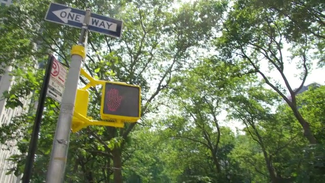 美国纽约麦迪逊广场公园的MS TD十字路口标志视频下载