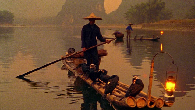 漓江上黄色的两名渔民在“舢板”上与鸬鹚捕鱼鸟+灯笼/中国视频下载