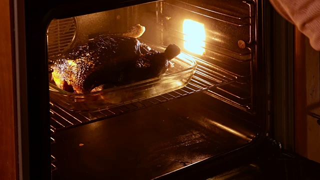 烤炉内烧过的鸡肉，并去除烟味视频素材