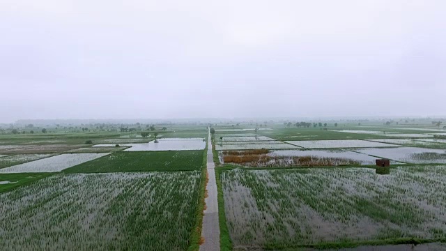 雨季的有机农场视频素材