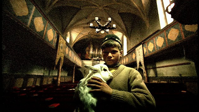 米粒低角度的MS男孩在当地的衣服抱着小山羊在教堂/斯比乌，特兰西瓦尼亚/闪光帧视频下载