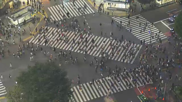 高清延时:东京涉谷十字路口，日本视频素材