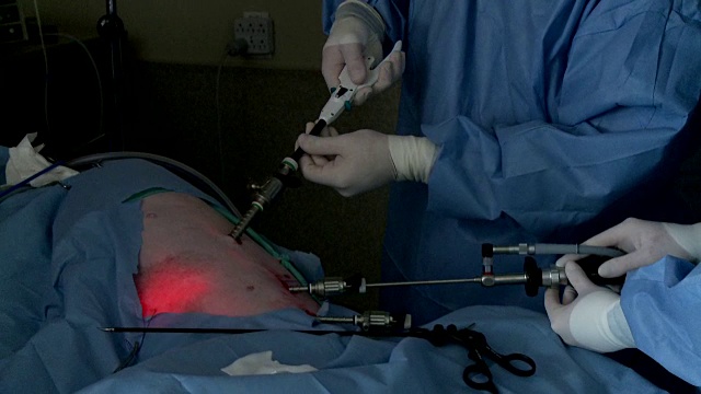 兽医为大丹犬做胃手术视频下载