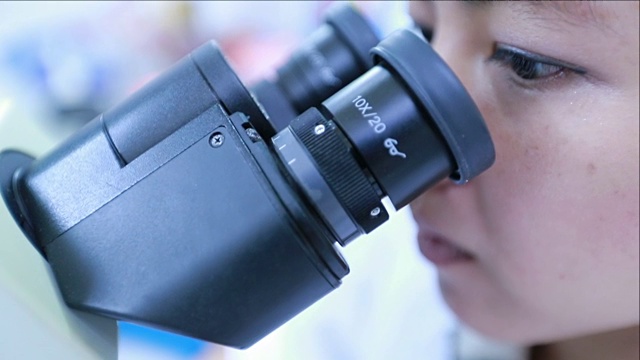 研究人员在显微镜下观察，慢镜头视频素材