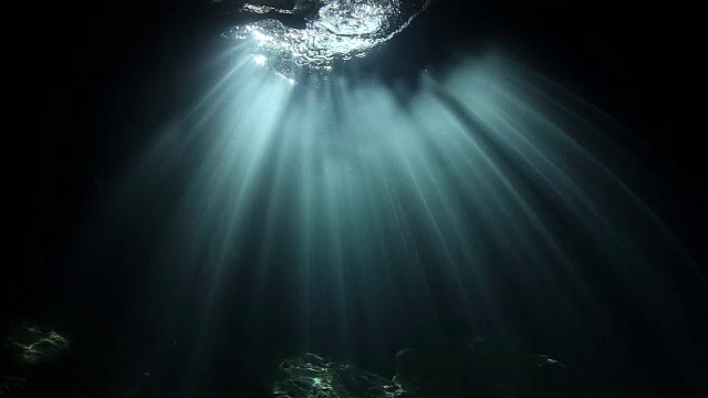 阳光照射在佛罗里达州魔鬼穴泉的洞穴顶部视频下载