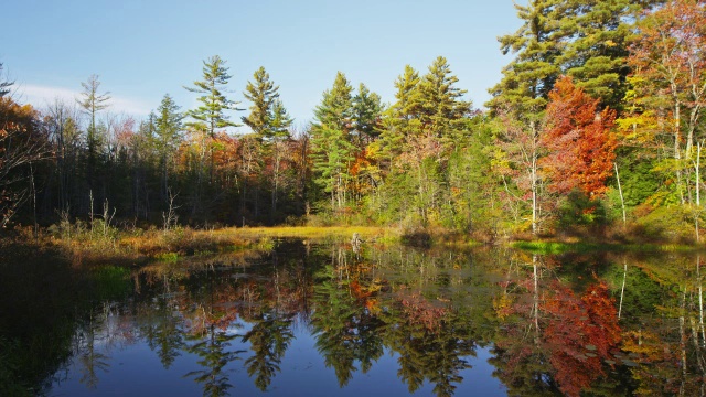 缅因州的湖泊，有树叶和倒影视频下载