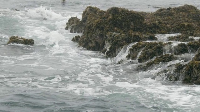MS SLO MO拍摄的岩石海岸与大涌浪泡沫水/各种，英国视频下载
