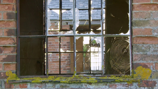 MS视图的废墟建筑/各种各样的窗户，英国视频下载