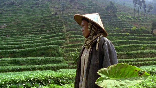 慢镜头MS PORTRAIT亚洲妇女与三角形帽子/郁郁葱葱的梯田山为背景/ Dieng，爪哇，印度尼西亚视频素材