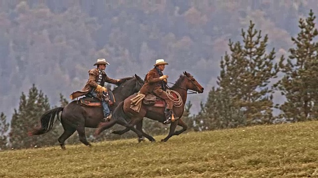 两个牧场主骑着疾驰的马上山视频下载