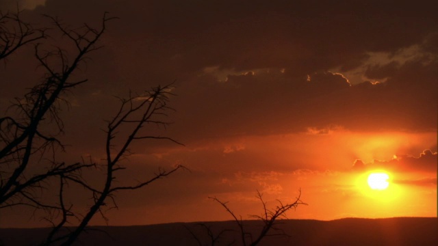 日落时的橘色云彩和树枝，美国黄石公园视频素材