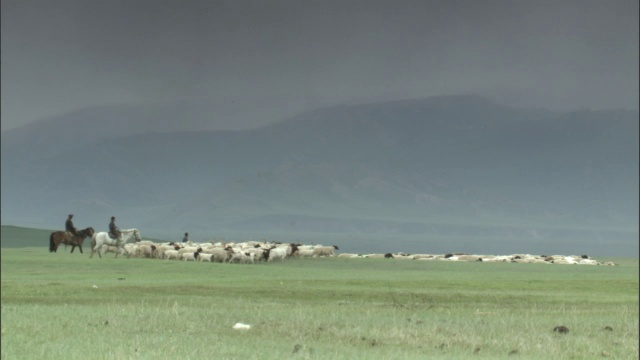 马背上的人放羊穿过草原，巴音布鲁克草原视频素材