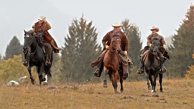 三个牧场主骑着疾驰的马穿过草地视频下载