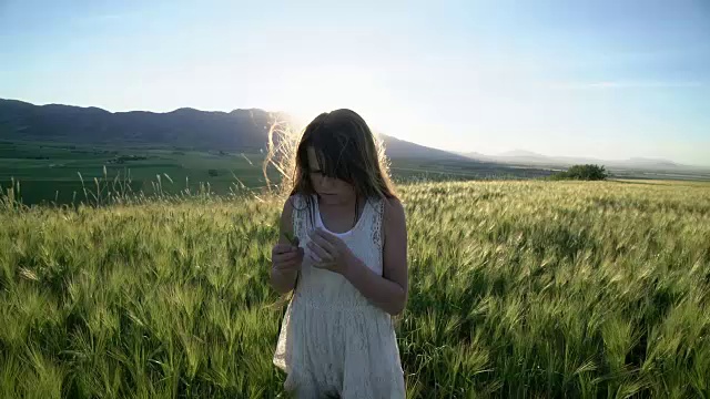 小女孩在日落时穿过田野。视频素材