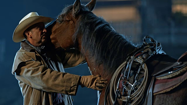 SLO MO DS牛仔在晚上抚摸着他的马视频下载